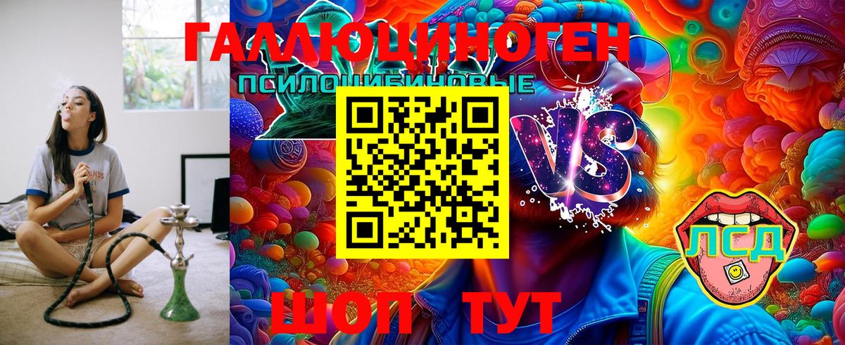 Галлюциногенные грибы Psilocybe Кубинка