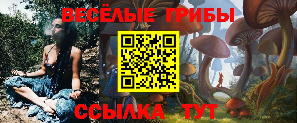 Кубинка  как найти закладки  Вход с VPN  Псилоцибиновые грибы прущие грибы 